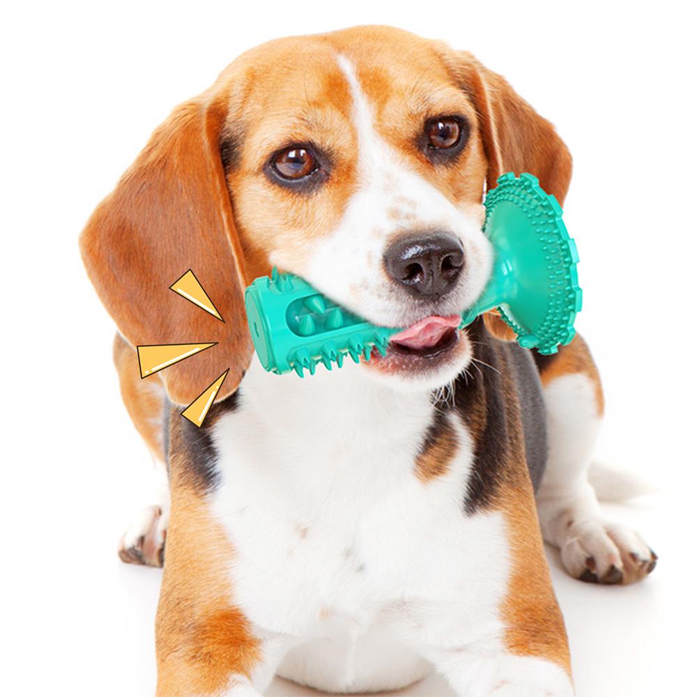 A brown and white dog shown using the green Doggy Dentist Toothbrush Chew Toy