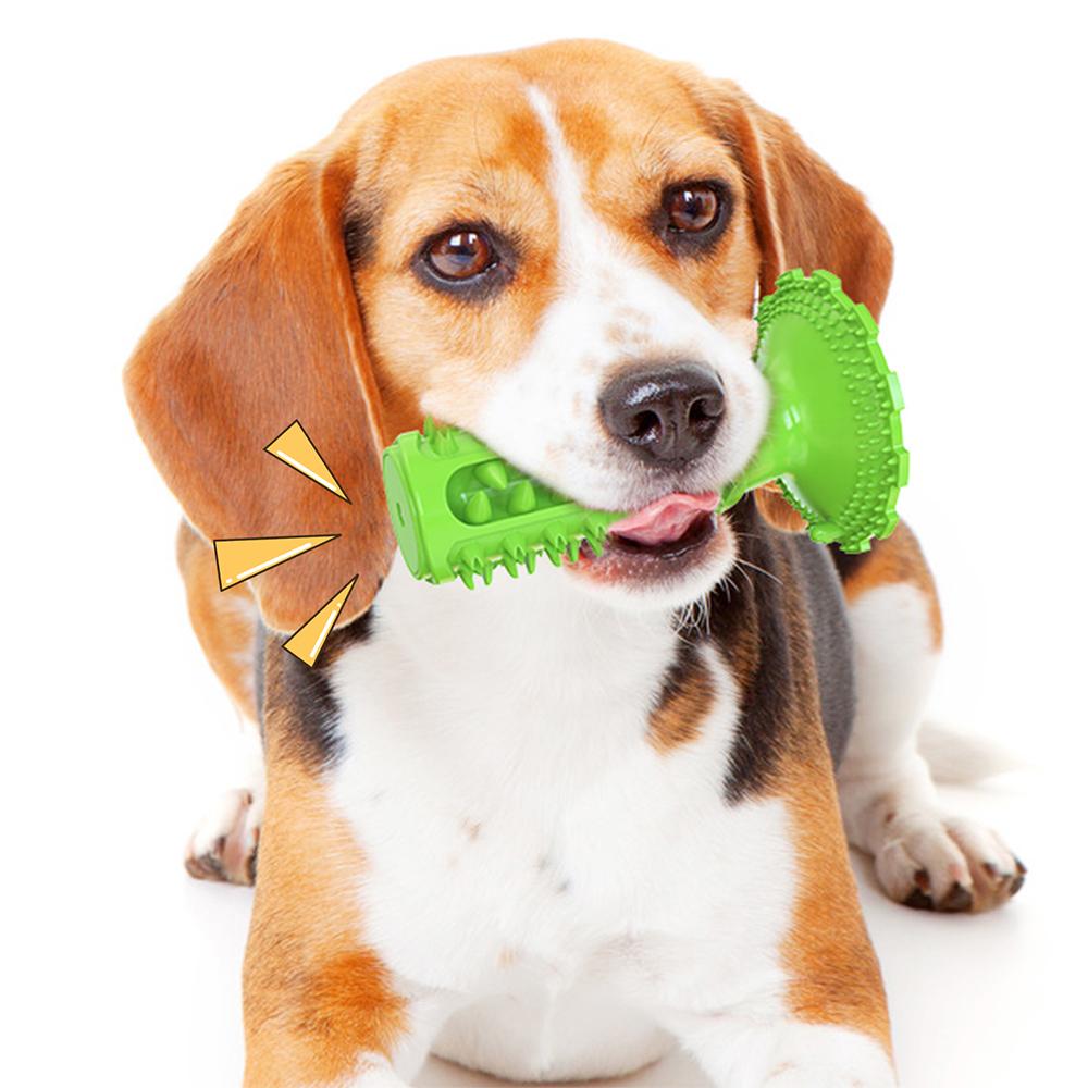 Doggy Dentist Toothbrush Chew Toy