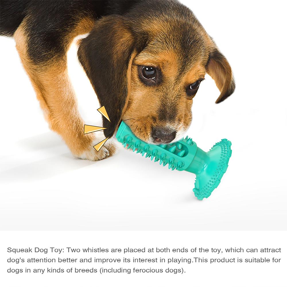 A brown and black puppy shown using the Doggy Dentist Toothbrush Chew Toy