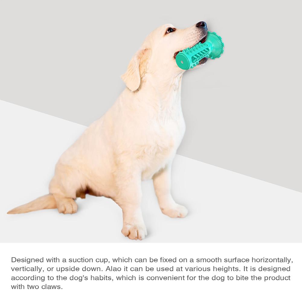 Doggy Dentist Toothbrush Chew Toy