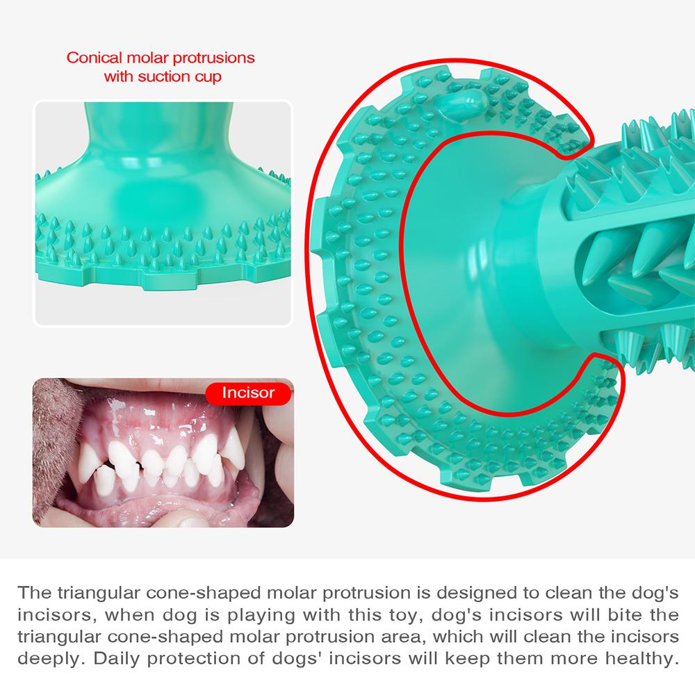 Doggy Dentist Toothbrush Chew Toy