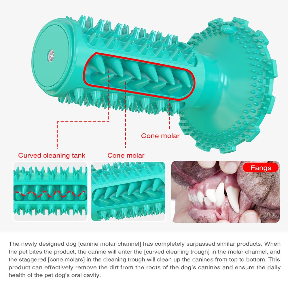 Doggy Dentist Toothbrush Chew Toy