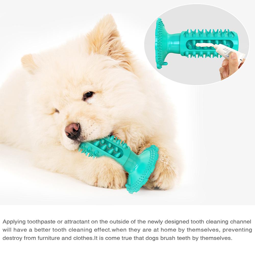 A white husky shown using the Doggy Dentist Toothbrush Chew Toy