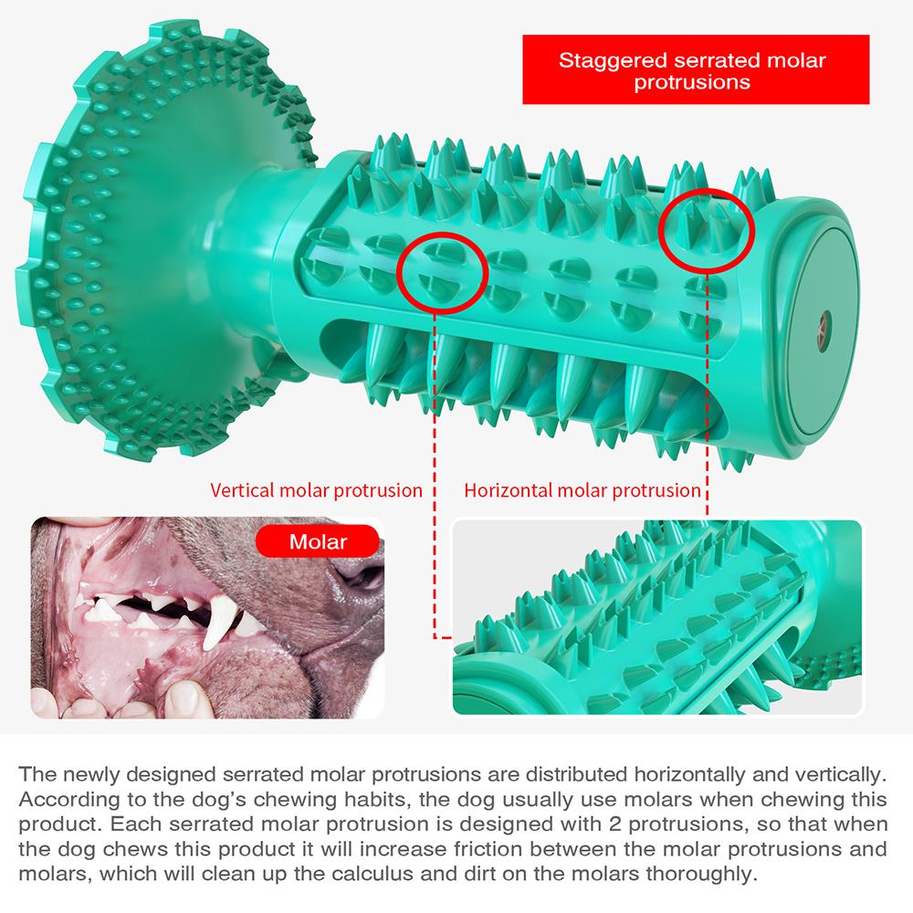 Doggy Dentist Toothbrush Chew Toy