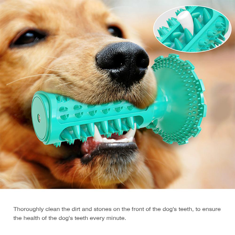 A golden retriever shown using the Doggy Dentist Toothbrush Chew Toy 