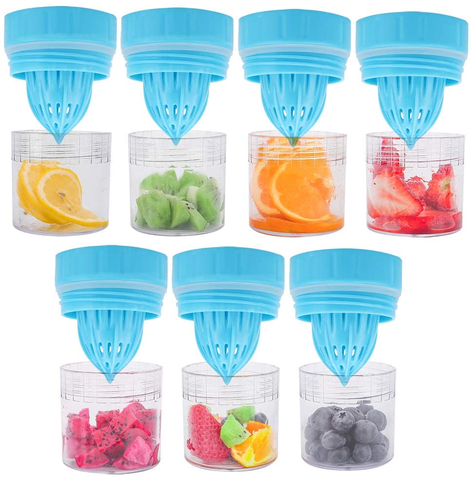 20oz Fruit Infuser Water Bottle