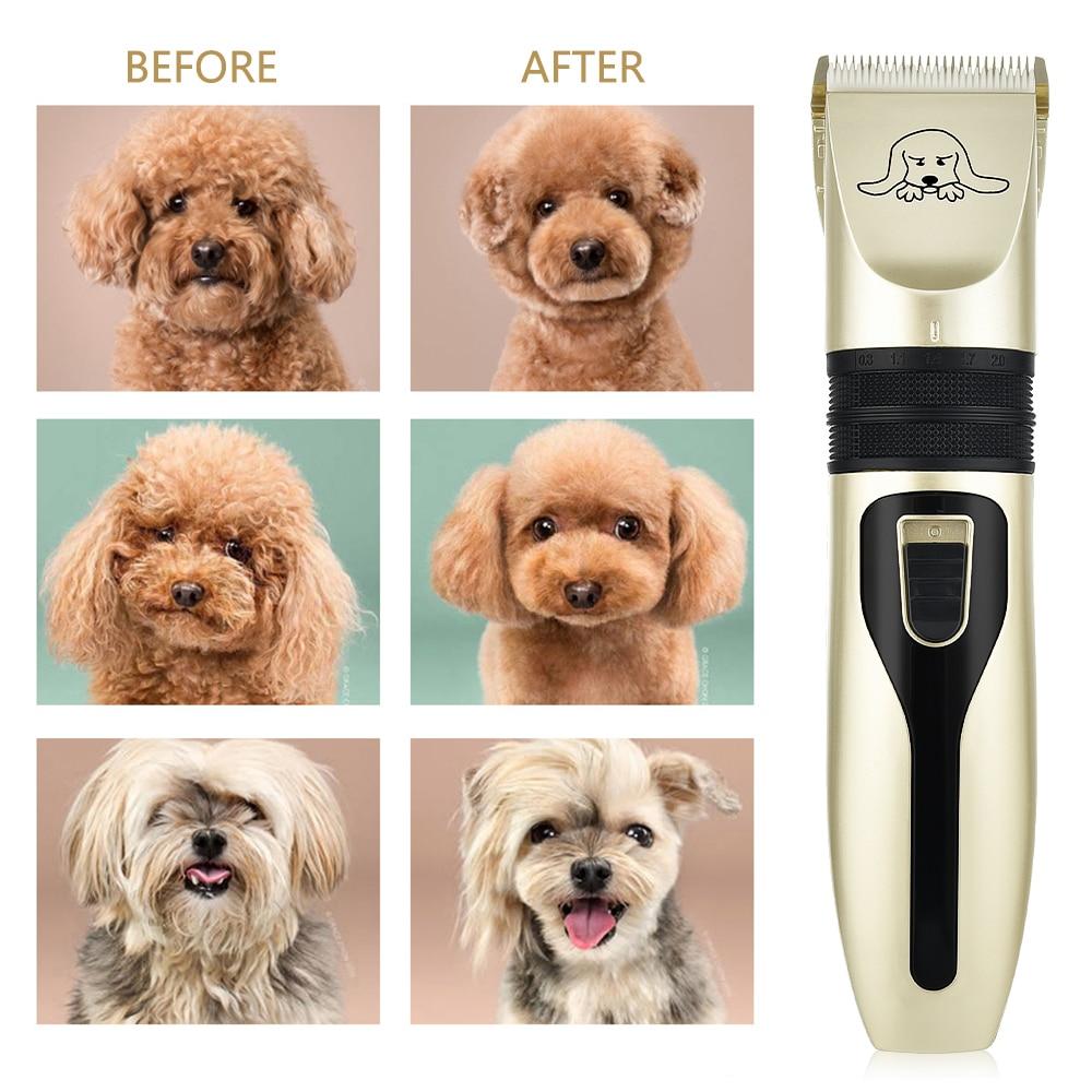 Black & Gold Turbo Pet Hair Clipper Set